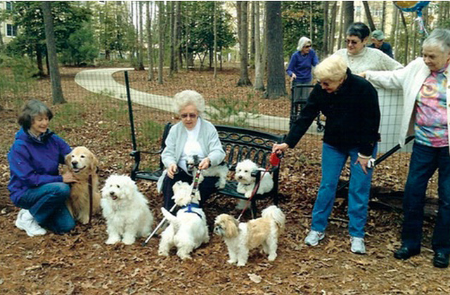 North Carolina Continuing Care Residents Association members interact with dogs at a park
